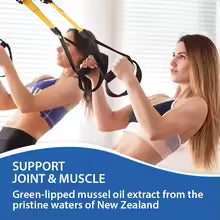 Joint & Muscle Pain Relief Support