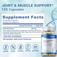 Joint & Muscle Pain Relief Support