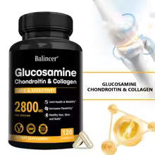 Glucosamine Chondroitin MSM Joint Support Capsules